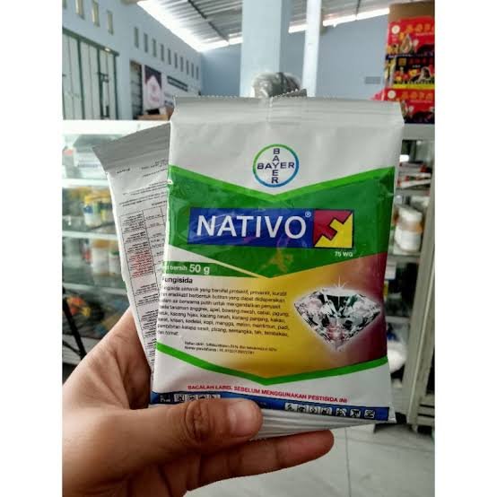 Nativo 50gr